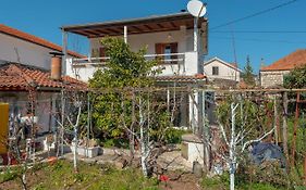 Apartments By The Sea Jelsa, Hvar - 11319